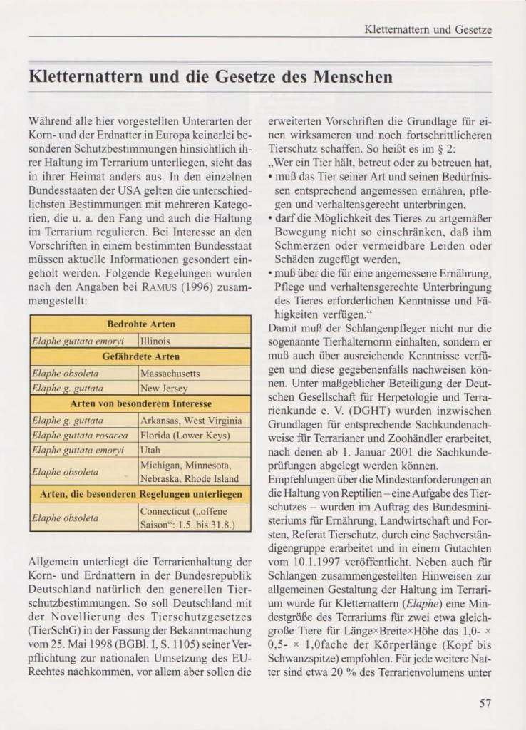 Kornnattern und Erdnattern